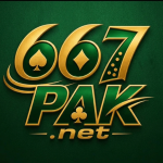 667pk game
