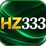 hz333