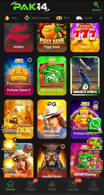 PAK14 Game Download Online