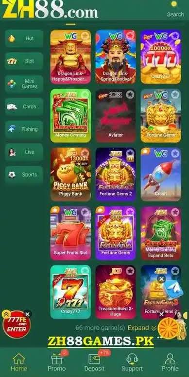 HZ333 Game